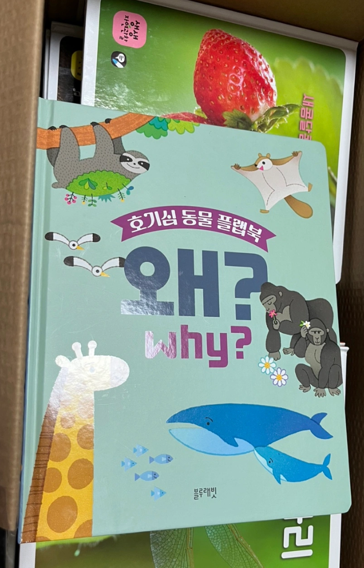 블루래빗 자연관찰 전집