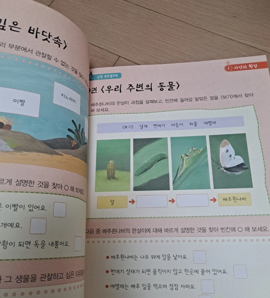 교원 솔루토이 과학 35권+CD 새상품