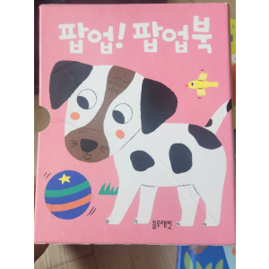 블루래빗 팝업북 세트