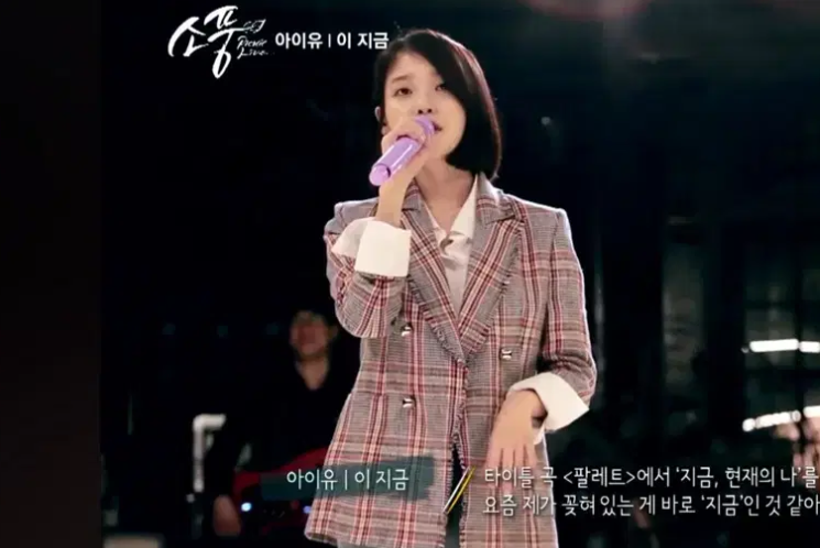 아이유 시슬리 트위드 자켓